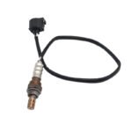 Sensor-Oxygen Sensor - Image 2
